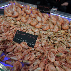 Российский объединенный стенд успешно начал работу на China Fisheries & Seafood Expo в Циндао