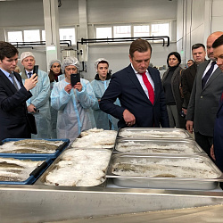 Экспонент SEAFOOD EXPO RUSSIA - «Архангельский опытный водорослевый комбинат» открыл новый рыбоперерабатывающий завод