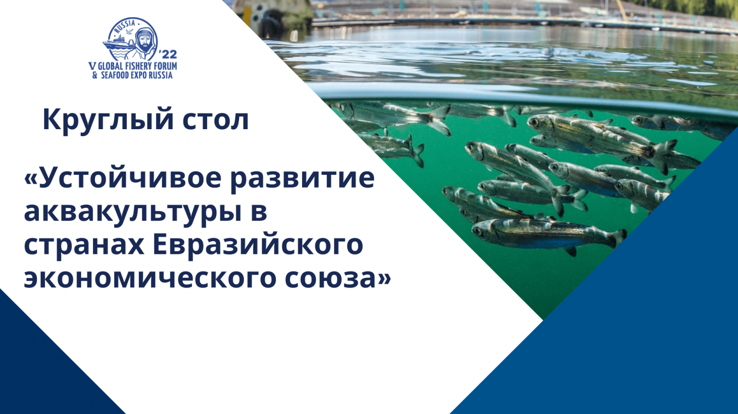 Развитие аквакультуры на Евразийском пространстве обсудят на Seafood Expo Russia