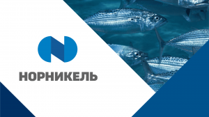 Компания ГМК «Норильский никель» получила статус Партнёра V Global Fishery Forum & Seafood Expo Russia