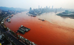 Китай вводит жесткий запрет на рыболовство в реке Янцзы