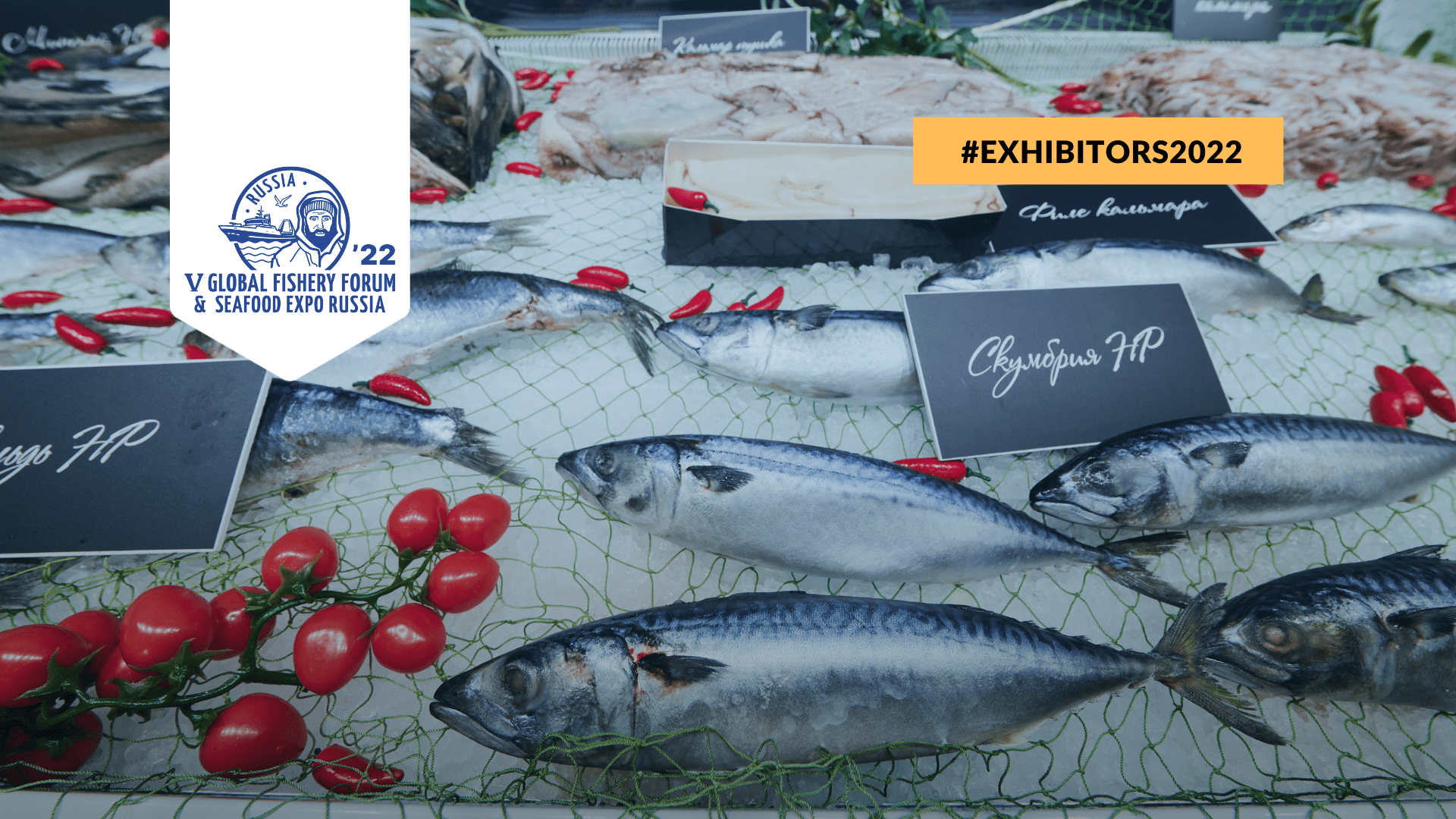 Seafood Expo Russia 2022: Overview of New Exhibitors No. 7