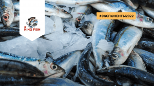 King Fish for Investment примет участие в Seafood Expo Russia