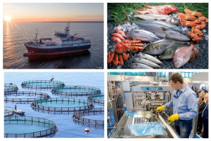 Старт продаж Seafood Expo Russia 2021