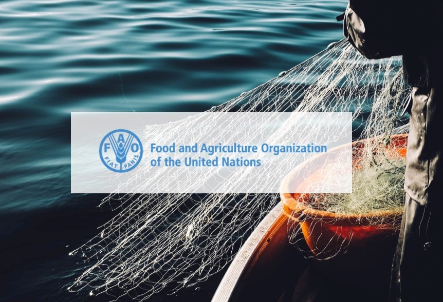 Representatives of FAO to take part in Global Fishery Forum & Seafood Expo Russia 2021 business program