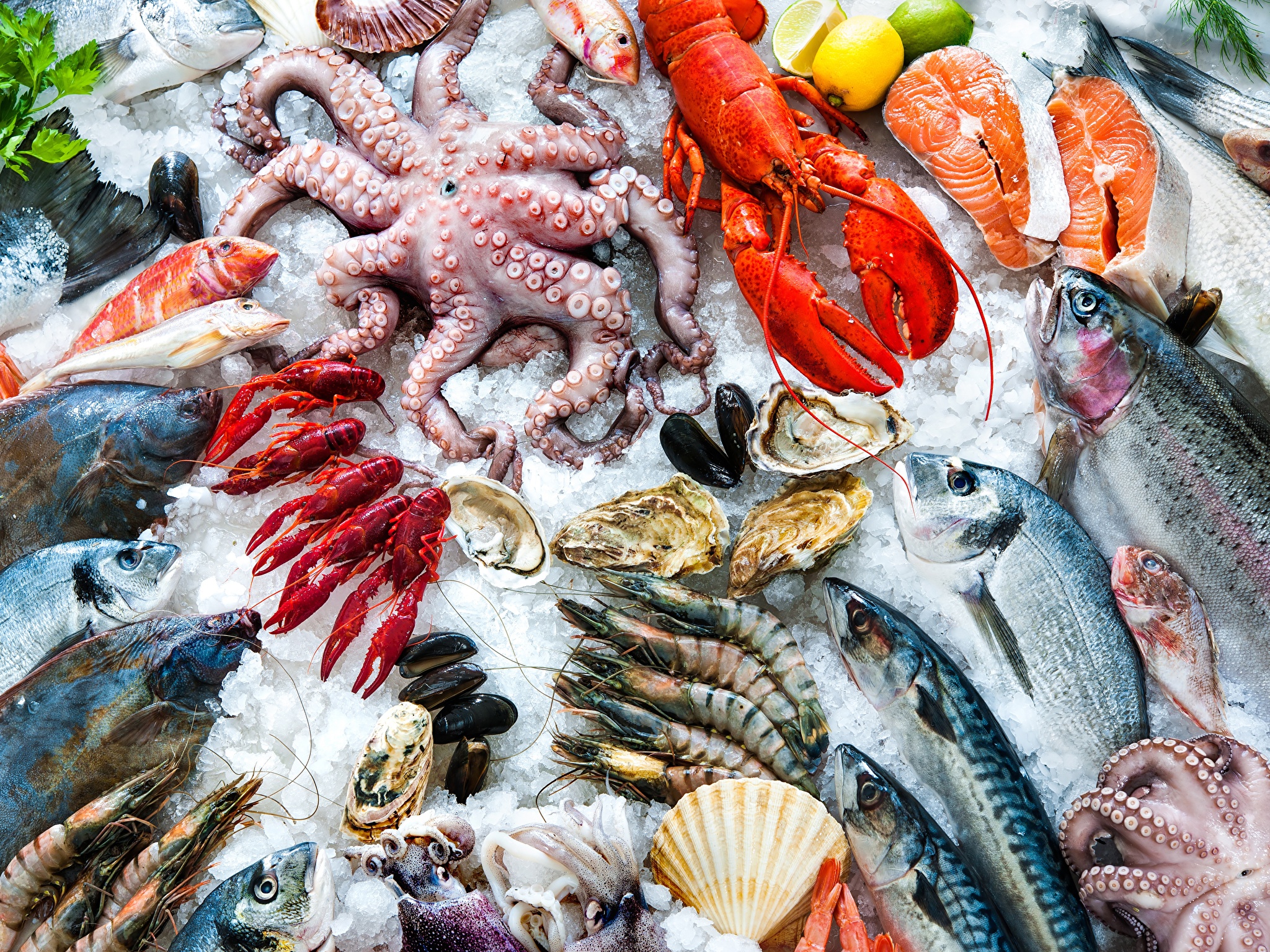 Euro Industry and Zolotaya Set are first time to participate in SEAFOOD EXPO RUSSIA 2021.
