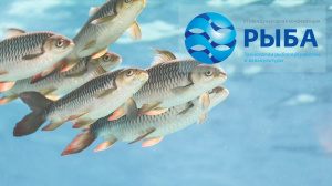 Конференция «Рыба. Технологии рыбопереработки и аквакультуры»
