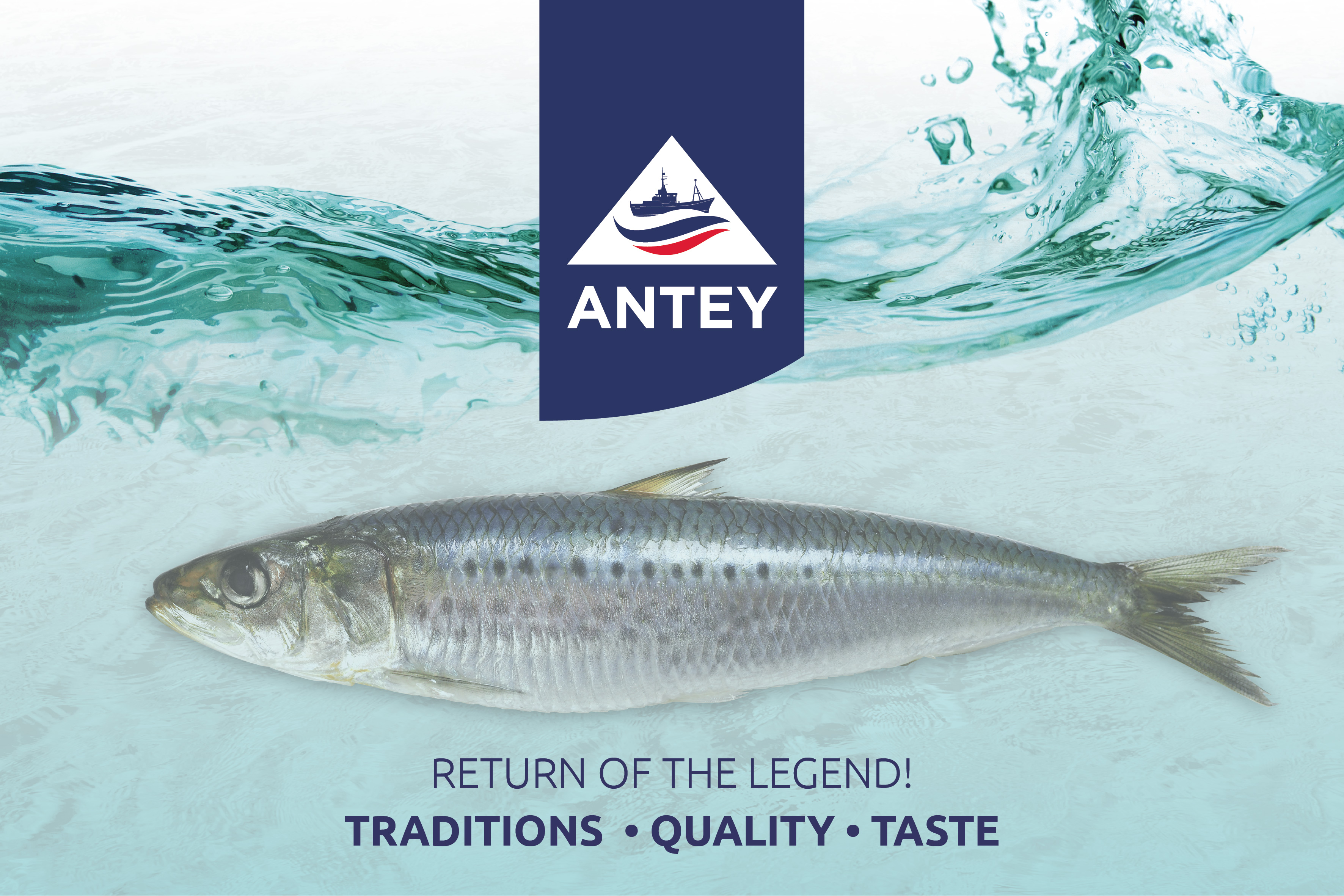 Antey is the Registration Area Partner of Seafood Expo Russia 2021
