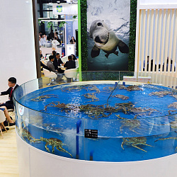China Fisheries & Seafood Expo 2024
