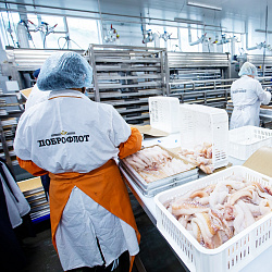 Dobroflot is the partner of Seafood Expo Russia 2021