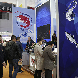 Pivot to Asia: Russian fishers gearing up for large-scale performance at China Fisheries & Seafood Expo