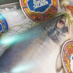 Российские рыбопромышленники успешно начали работу на Seafood Expo Global 2019