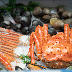 Seafood Expo Global и Seafood Processing Global 2019