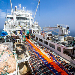Ассоциация судовладельцев рыбопромыслового флота (АСРФ) получила статус бизнес-партнёра V Global Fishery Forum & Seafood Expo Russia