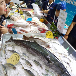 О главной рыбной выставке России узнают во всем мире
