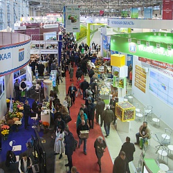 Russian Agricultural exhibition Golden Autumn (Russia, Moscow)